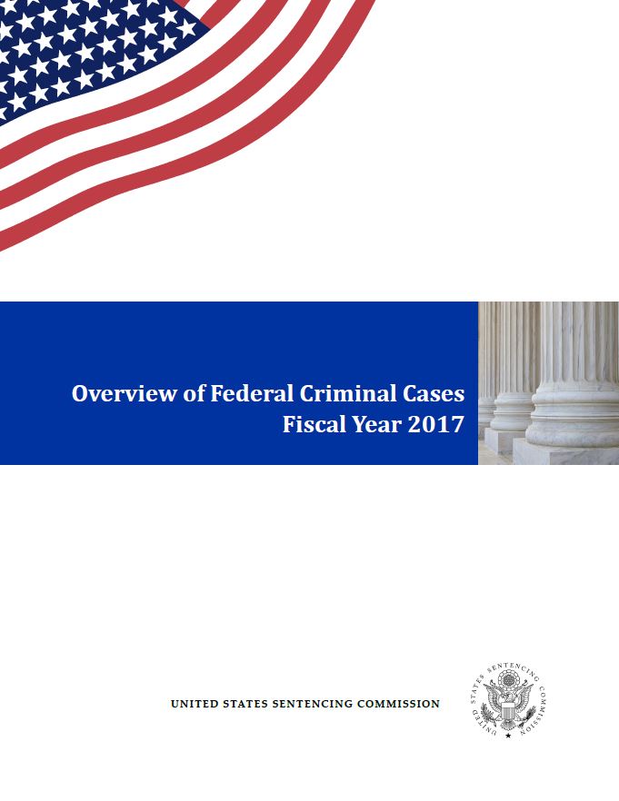 FY 2017 Overview of Federal Criminal Cases