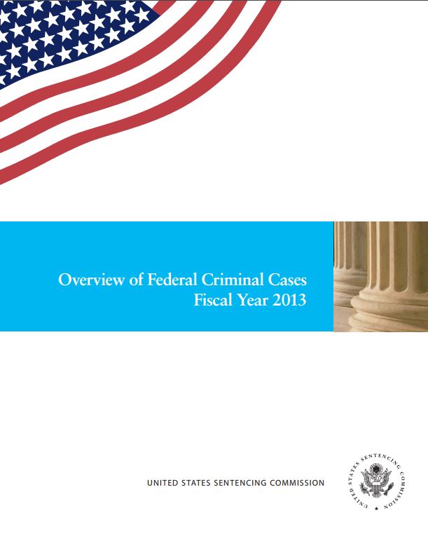 FY 2013 Overview of Federal Criminal Cases
