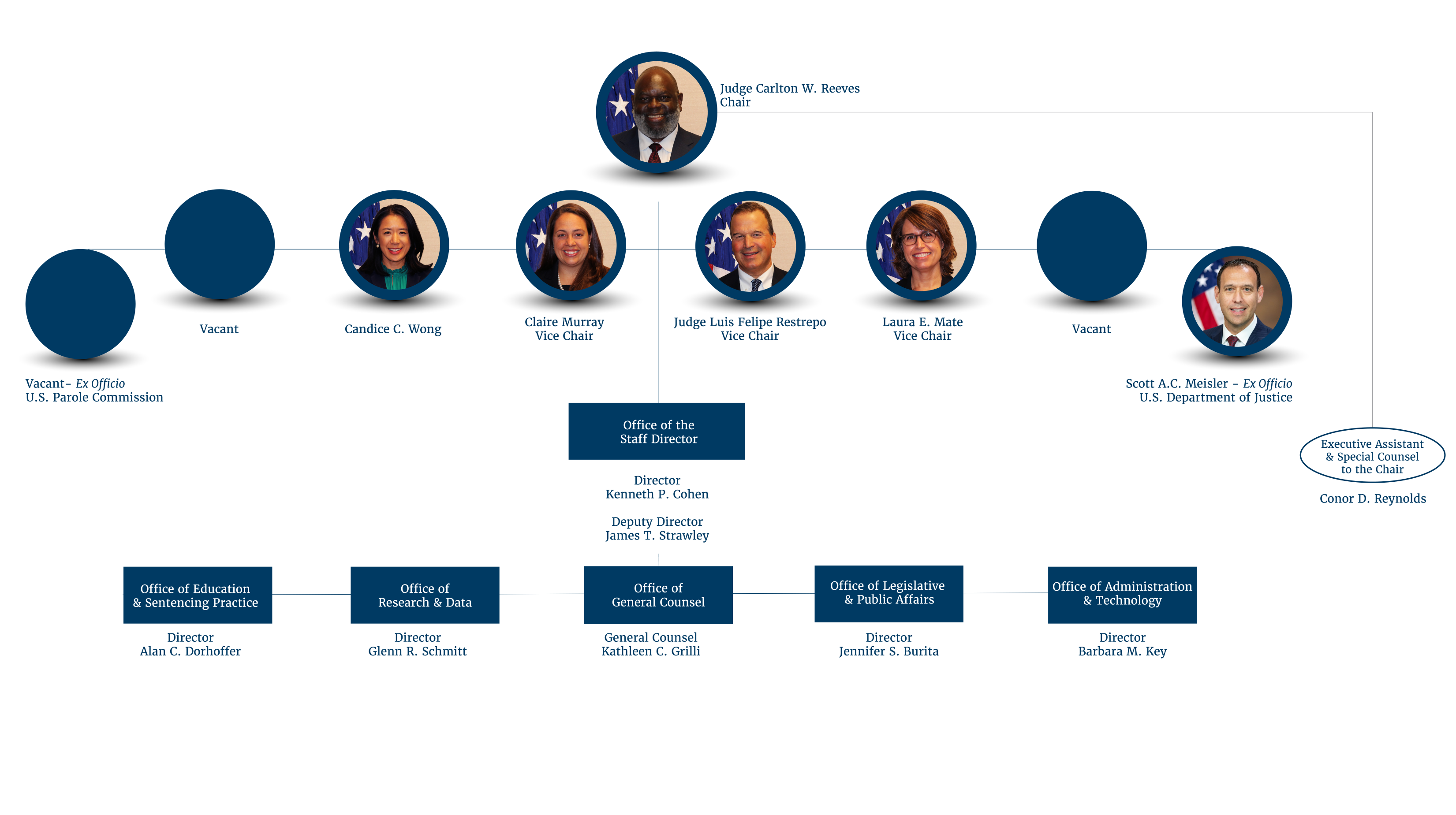 Organizational Chart of the Commission