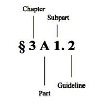 Guideline Illustration