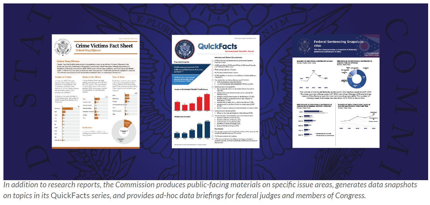 three covers of several data snapshot-type products issued by the Commission in 2025.